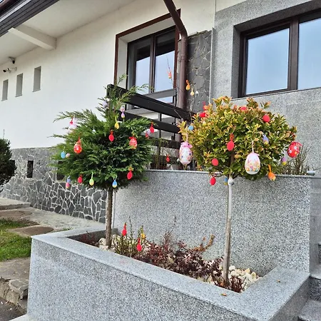 New Wolf Hotel